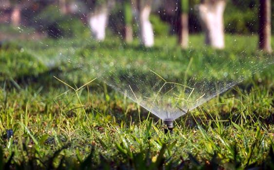 pexels-photo-25283561-25283561 A garden sprinkler, an upgrade that increases the value of a home instatly